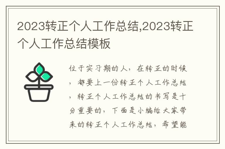 2023轉(zhuǎn)正個(gè)人工作總結(jié),2023轉(zhuǎn)正個(gè)人工作總結(jié)模板