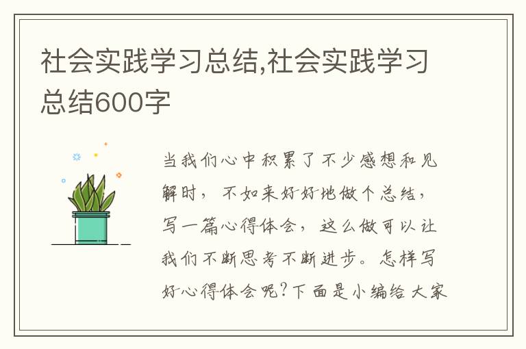 社會實踐學習總結,社會實踐學習總結600字