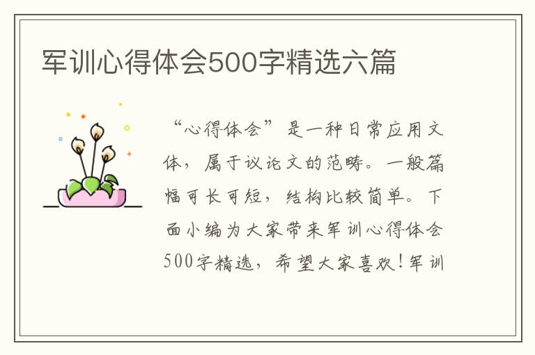 軍訓心得體會500字精選六篇