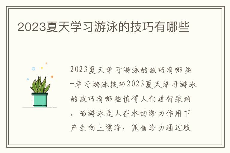 2023夏天學(xué)習(xí)游泳的技巧有哪些