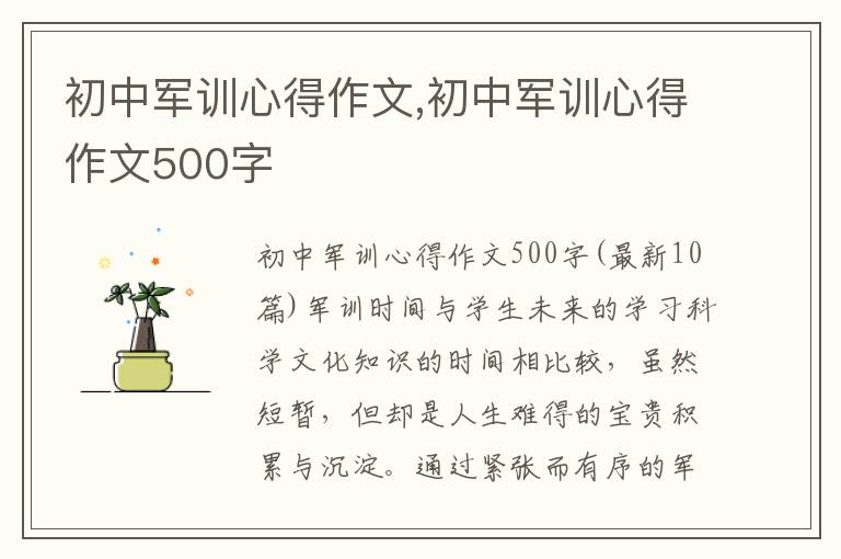 初中軍訓心得作文,初中軍訓心得作文500字