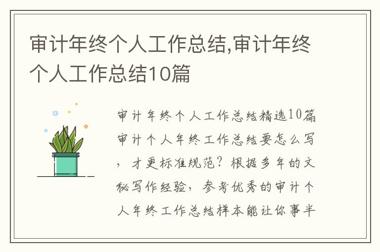 審計年終個人工作總結,審計年終個人工作總結10篇