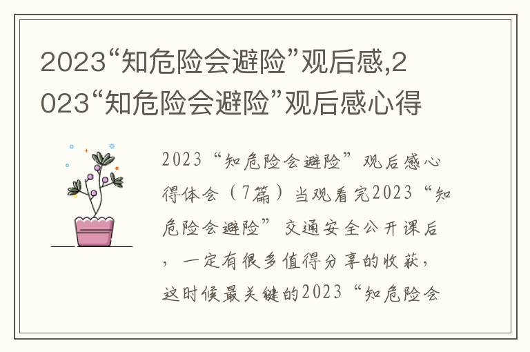 2023“知危險會避險”觀后感,2023“知危險會避險”觀后感心得體會