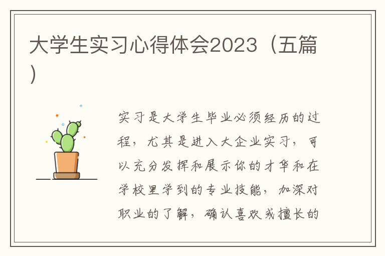 大學(xué)生實(shí)習(xí)心得體會2023（五篇）