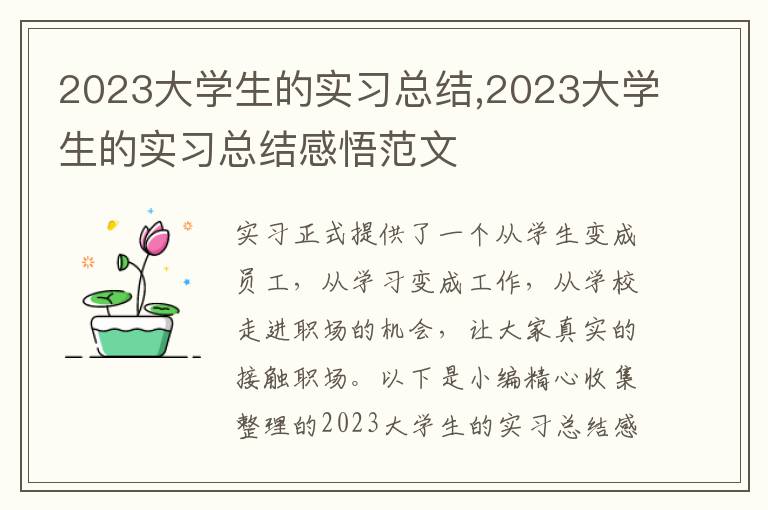 2023大學生的實習總結,2023大學生的實習總結感悟范文