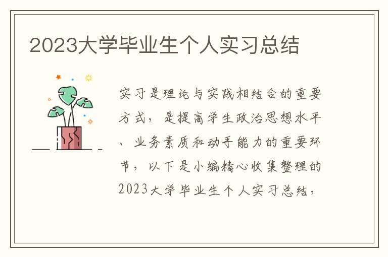 2023大學畢業(yè)生個人實習總結