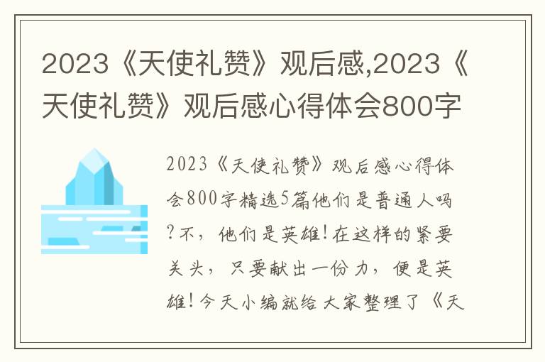 2023《天使禮贊》觀后感,2023《天使禮贊》觀后感心得體會800字精選5篇