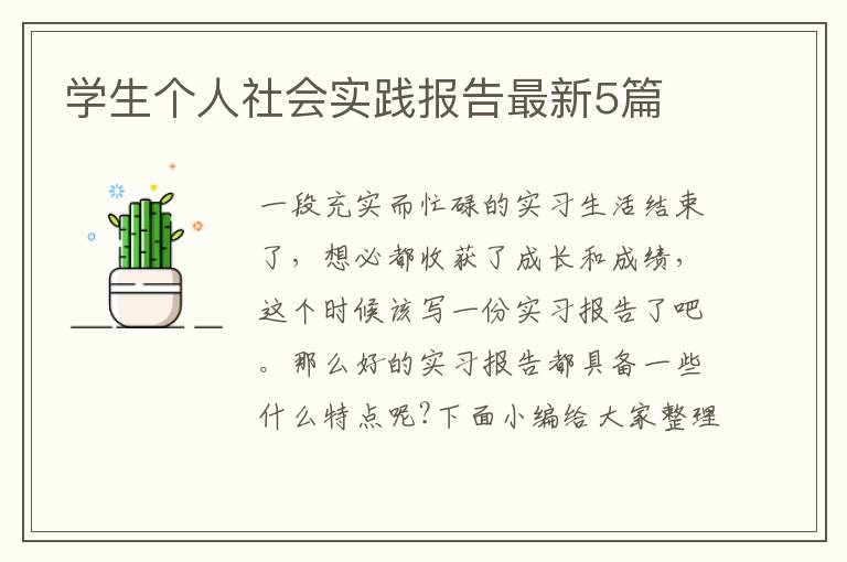 學生個人社會實踐報告最新5篇