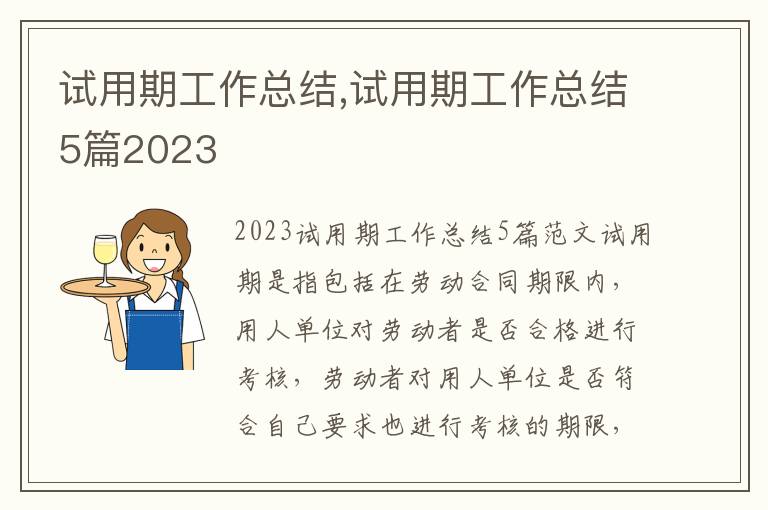 試用期工作總結,試用期工作總結5篇2023