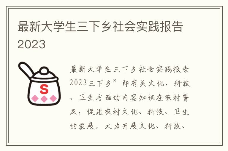 最新大學生三下鄉社會實踐報告2023