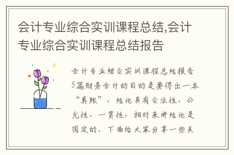 會計專業綜合實訓課程總結,會計專業綜合實訓課程總結報告