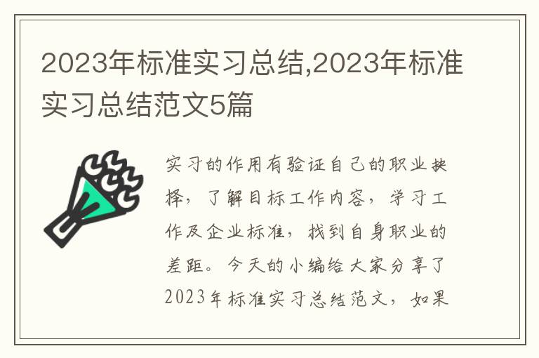 2023年標準實習總結,2023年標準實習總結范文5篇