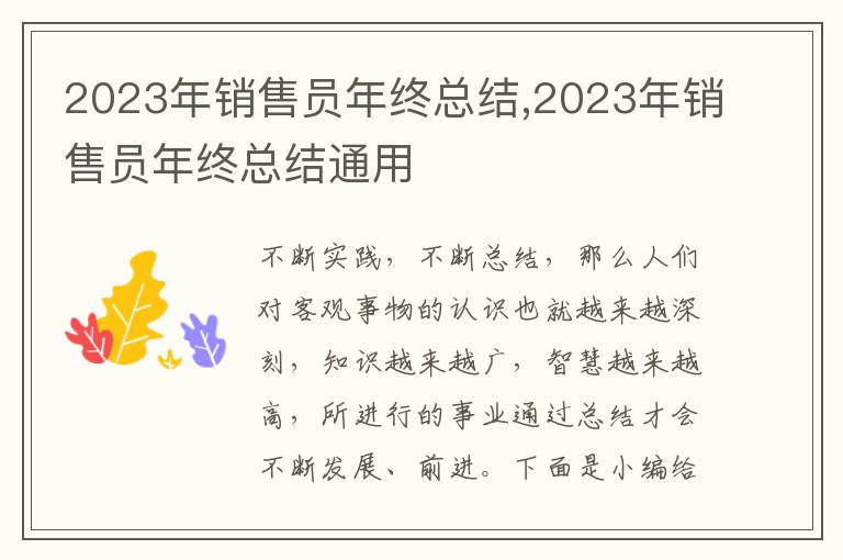 2023年銷售員年終總結(jié),2023年銷售員年終總結(jié)通用