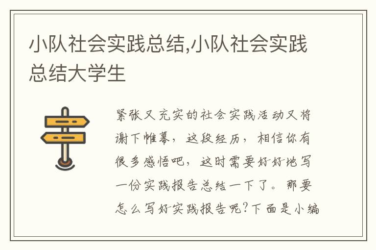 小隊社會實踐總結,小隊社會實踐總結大學生