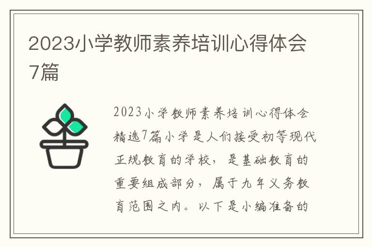 2023小學教師素養培訓心得體會7篇