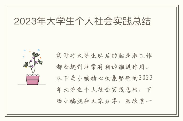 2023年大學(xué)生個(gè)人社會(huì)實(shí)踐總結(jié)