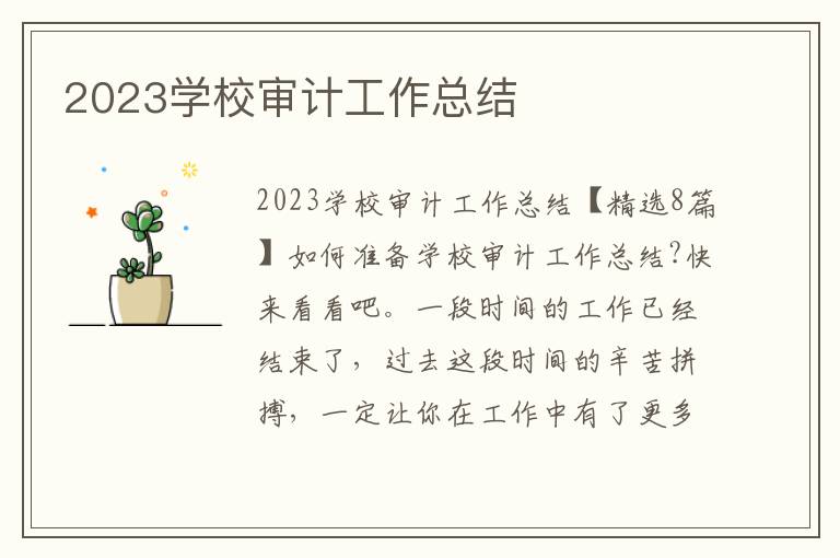 2023學校審計工作總結