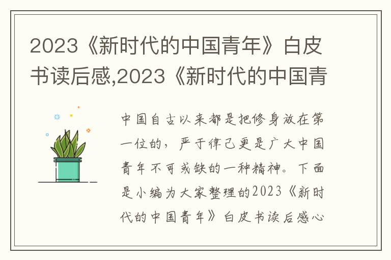 2023《新時代的中國青年》白皮書讀后感,2023《新時代的中國青年》白皮書讀后感心得精選