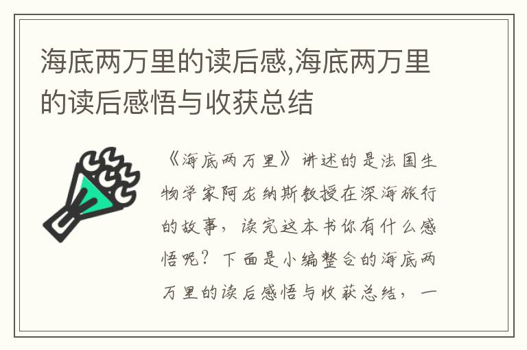 海底兩萬里的讀后感,海底兩萬里的讀后感悟與收獲總結