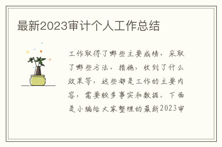 最新2023審計個人工作總結