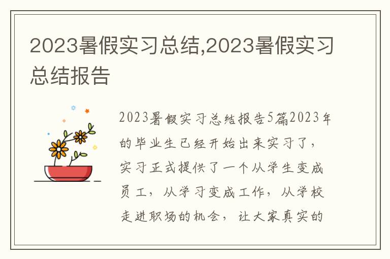 2023暑假實習總結,2023暑假實習總結報告