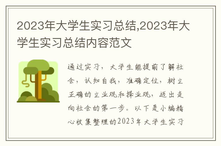 2023年大學生實習總結,2023年大學生實習總結內容范文