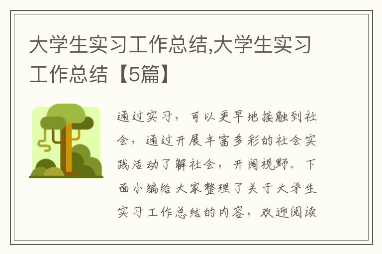 大學(xué)生實(shí)習(xí)工作總結(jié),大學(xué)生實(shí)習(xí)工作總結(jié)【5篇】