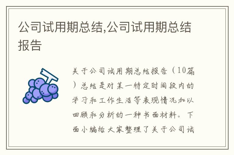 公司試用期總結,公司試用期總結報告