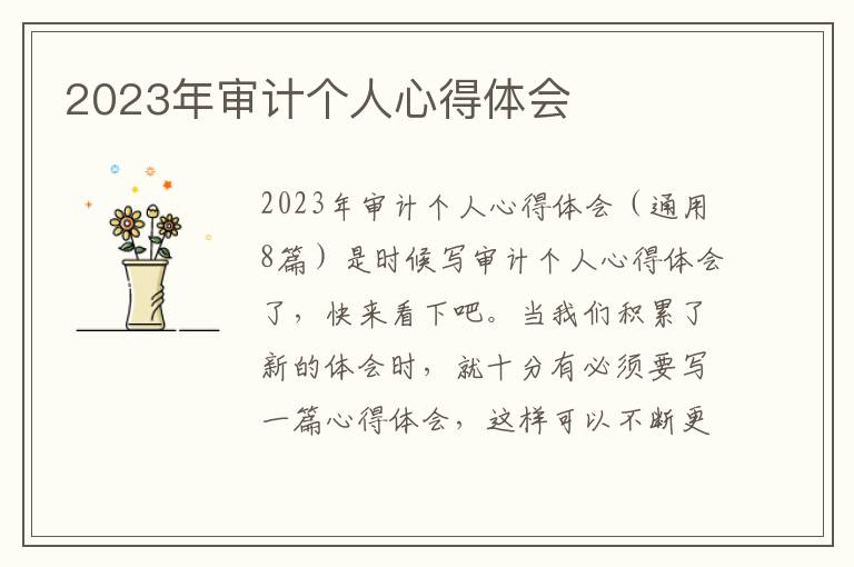 2023年審計個人心得體會