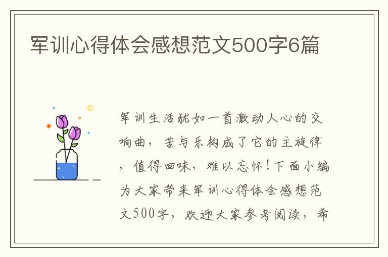 軍訓(xùn)心得體會(huì)感想范文500字6篇