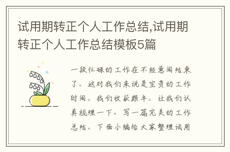 試用期轉正個人工作總結,試用期轉正個人工作總結模板5篇