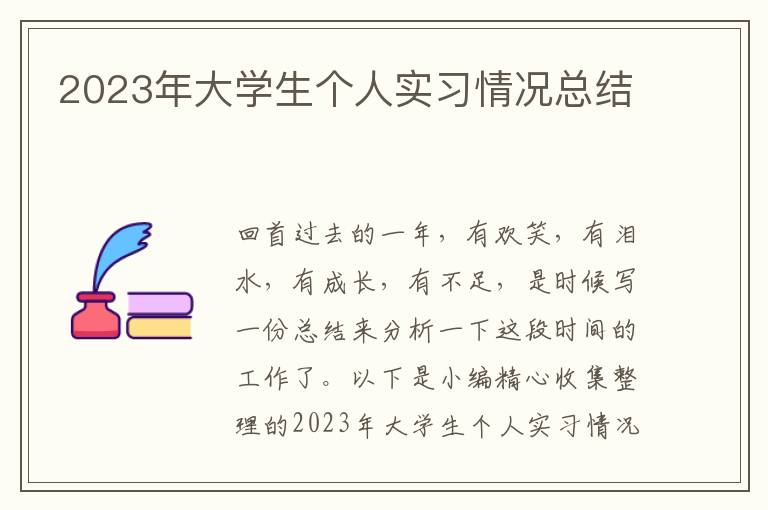 2023年大學(xué)生個(gè)人實(shí)習(xí)情況總結(jié)