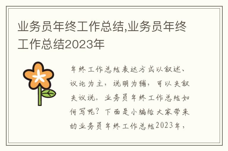 業(yè)務(wù)員年終工作總結(jié),業(yè)務(wù)員年終工作總結(jié)2023年