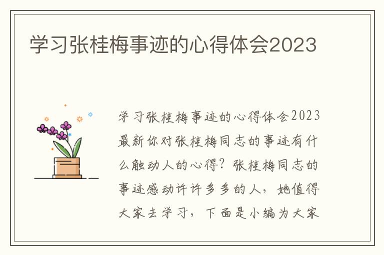 學習張桂梅事跡的心得體會2023