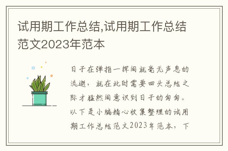 試用期工作總結(jié),試用期工作總結(jié)范文2023年范本