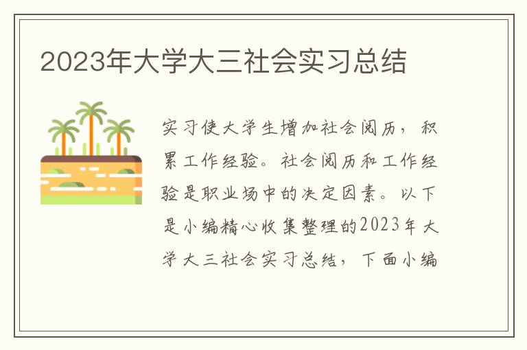 2023年大學(xué)大三社會實習(xí)總結(jié)