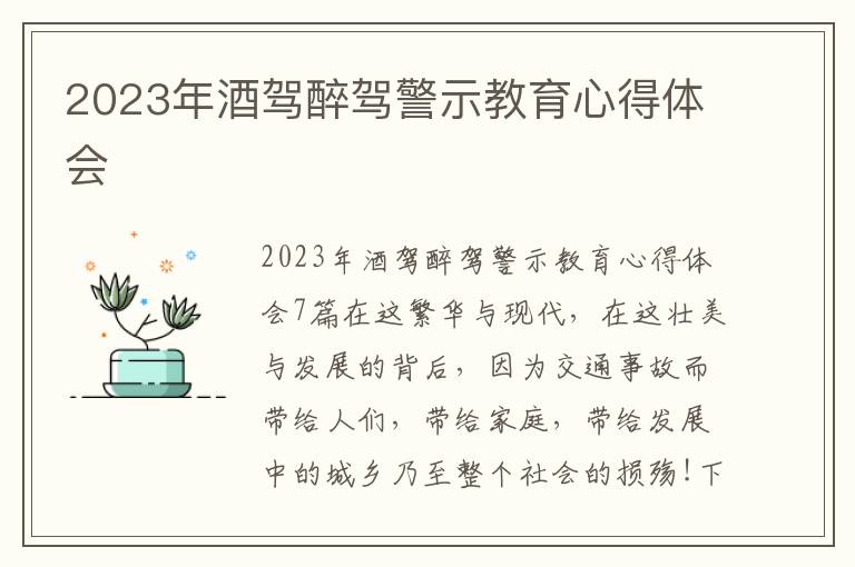 2023年酒駕醉駕警示教育心得體會