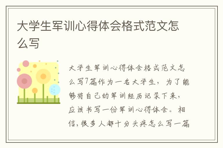 大學生軍訓心得體會格式范文怎么寫