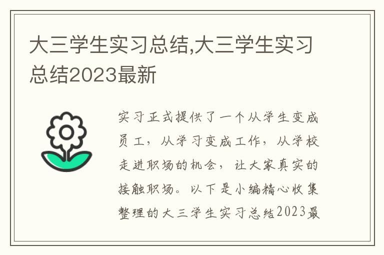 大三學(xué)生實(shí)習(xí)總結(jié),大三學(xué)生實(shí)習(xí)總結(jié)2023最新