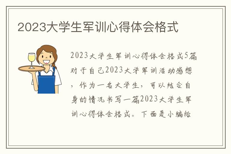 2023大學生軍訓心得體會格式