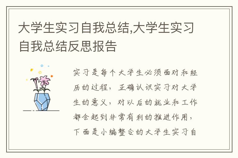 大學生實習自我總結,大學生實習自我總結反思報告