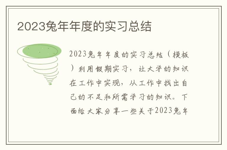 2023兔年年度的實習總結