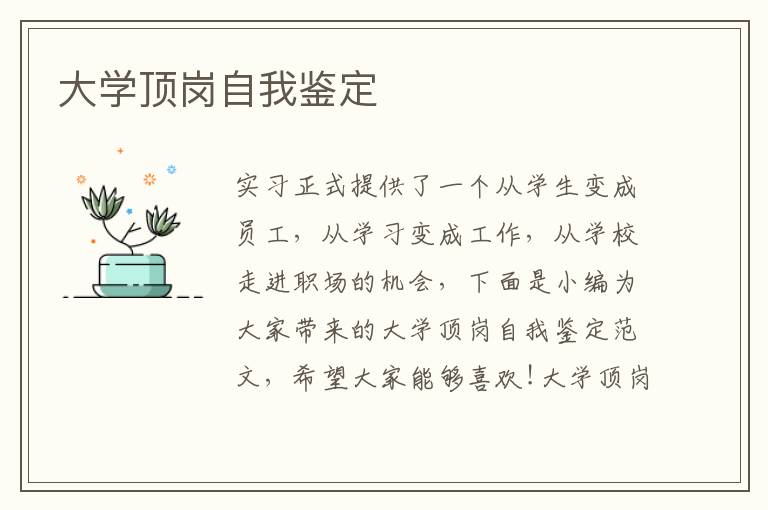 大學(xué)頂崗自我鑒定