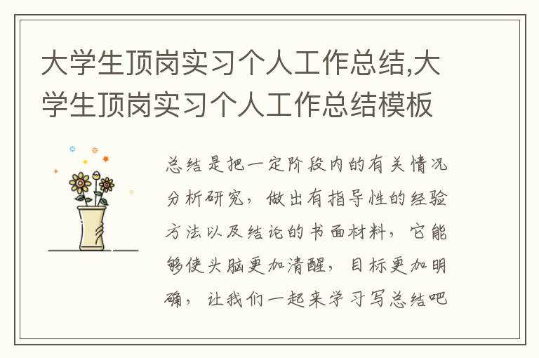 大學(xué)生頂崗實習(xí)個人工作總結(jié),大學(xué)生頂崗實習(xí)個人工作總結(jié)模板