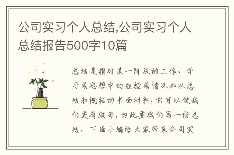 公司實習個人總結,公司實習個人總結報告500字10篇