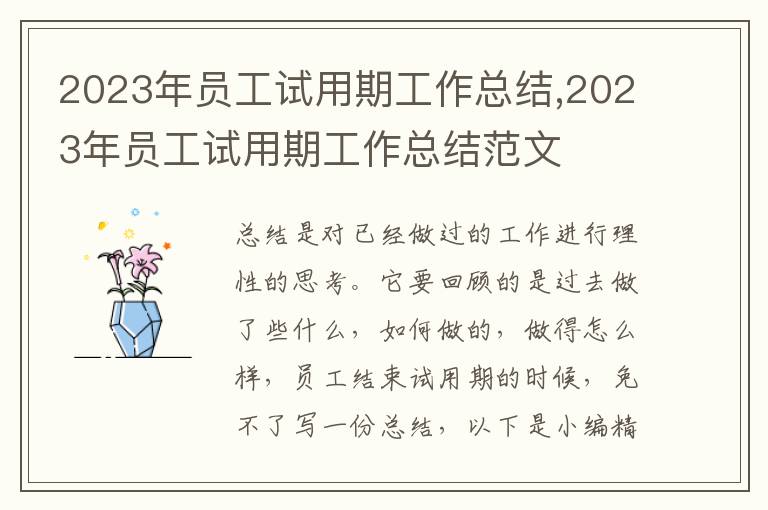 2023年員工試用期工作總結(jié),2023年員工試用期工作總結(jié)范文