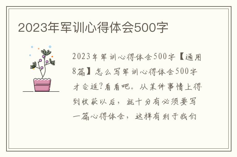 2023年軍訓心得體會500字