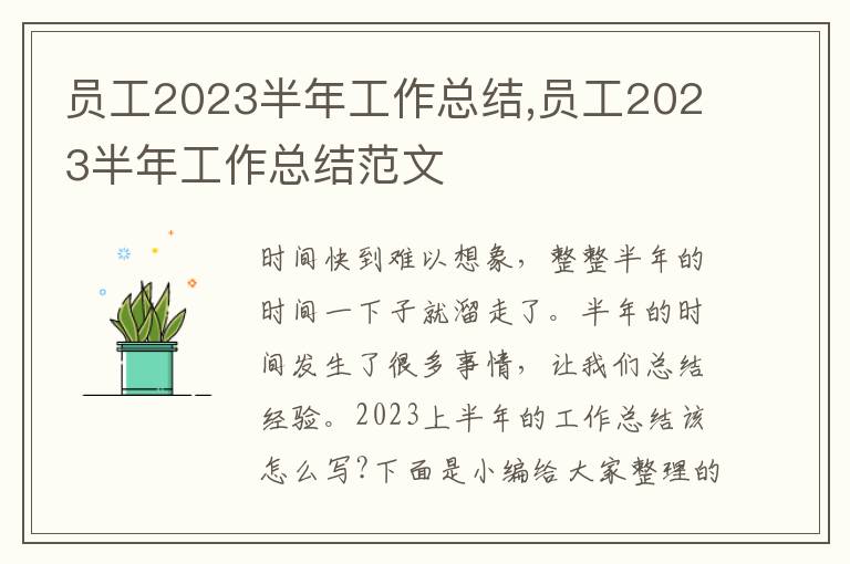 員工2023半年工作總結(jié),員工2023半年工作總結(jié)范文