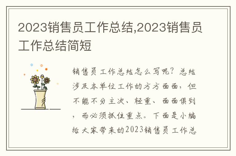 2023銷售員工作總結(jié),2023銷售員工作總結(jié)簡短