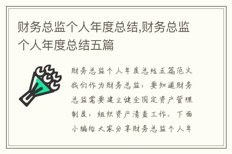 財務總監個人年度總結,財務總監個人年度總結五篇